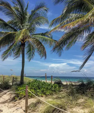 Besuche die schönen Strände von Miami Beach